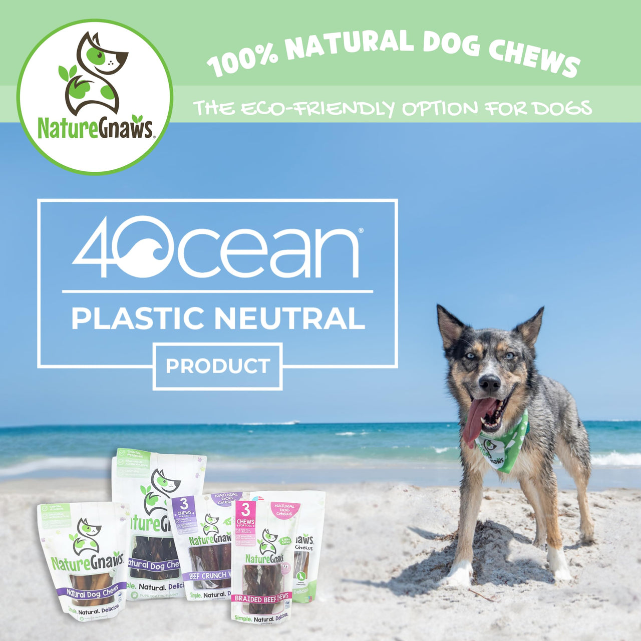 Nature Gnaws USA Turkey Tendons for Dogs - Premium Natural Chew Treats - Delicious Reward Snack for Small Medium & Large Dogs - Made in The USA 4 oz Bag 1 Pound (Pack of 1)