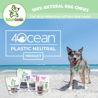 Nature Gnaws USA Turkey Tendons for Dogs - Premium Natural Chew Treats - Delicious Reward Snack for Small Medium & Large Dogs - Made in The USA 4 oz Bag 1 Pound (Pack of 1)