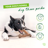 Benebone Wishbone Durable Dog Chew Toy for Aggressive Chewers, Real Peanut, Made in USA, Large