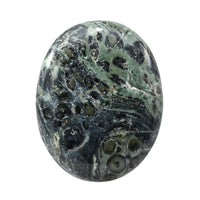 Kambaba Jasper Palm Stone - Hot Massage Worry Stone for Natural Body Chakra Balancing, Reiki Healing and Crystal Grid Kambaba Jasper