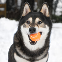 Best Pet Supplies Squeaky Tennis Balls for Dogs, 4-Pack, Heavy-Duty Interactive Pet Toys for Throwing and Fetching, Supports Exercise and Natural Behavior Training, Durable - Large