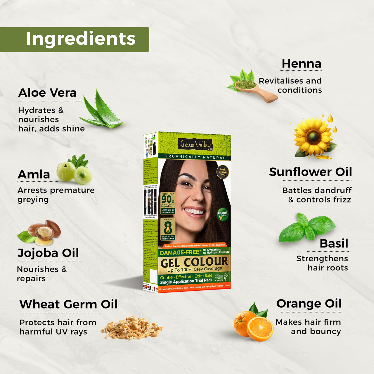 INDUS VALLEY Hair Color Trial Pack | Dark Brown With Colour Protection Shampoo (200 ml)