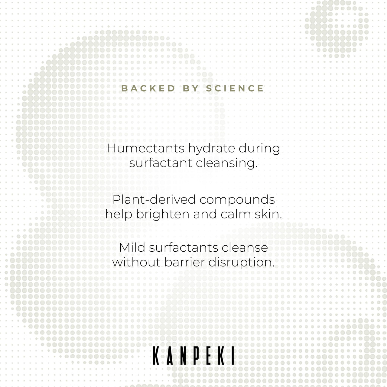 Kanpeki Balancing Cleanser Face Wash to Gently Brighten Skin | Cleanser for Dry to Normal & Sensitive | Reduces Hyperpigmentation | Provides Even Skin Tone | Japanese Skin Care Product