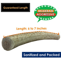 Elk Antler Chews for Dogs | Naturally Shed USA Collected Elk Antlers | All Natural A-Grade Premium Elk Antler Dog Chews | Product of USA, 4-Pack Medium Whole Medium (Pack of 4)