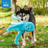 Best Pet Supplies OctoMutant Crinkle Plush Dog Toys for Interactive Play, Puppy and Senior Indoor Play, Soft Head Stuffing, Cute and Cuddly - Bundle (Fuchsia, Purple, Turquoise) Octomutant (Fuchsia, Purple, Turquoise) Large