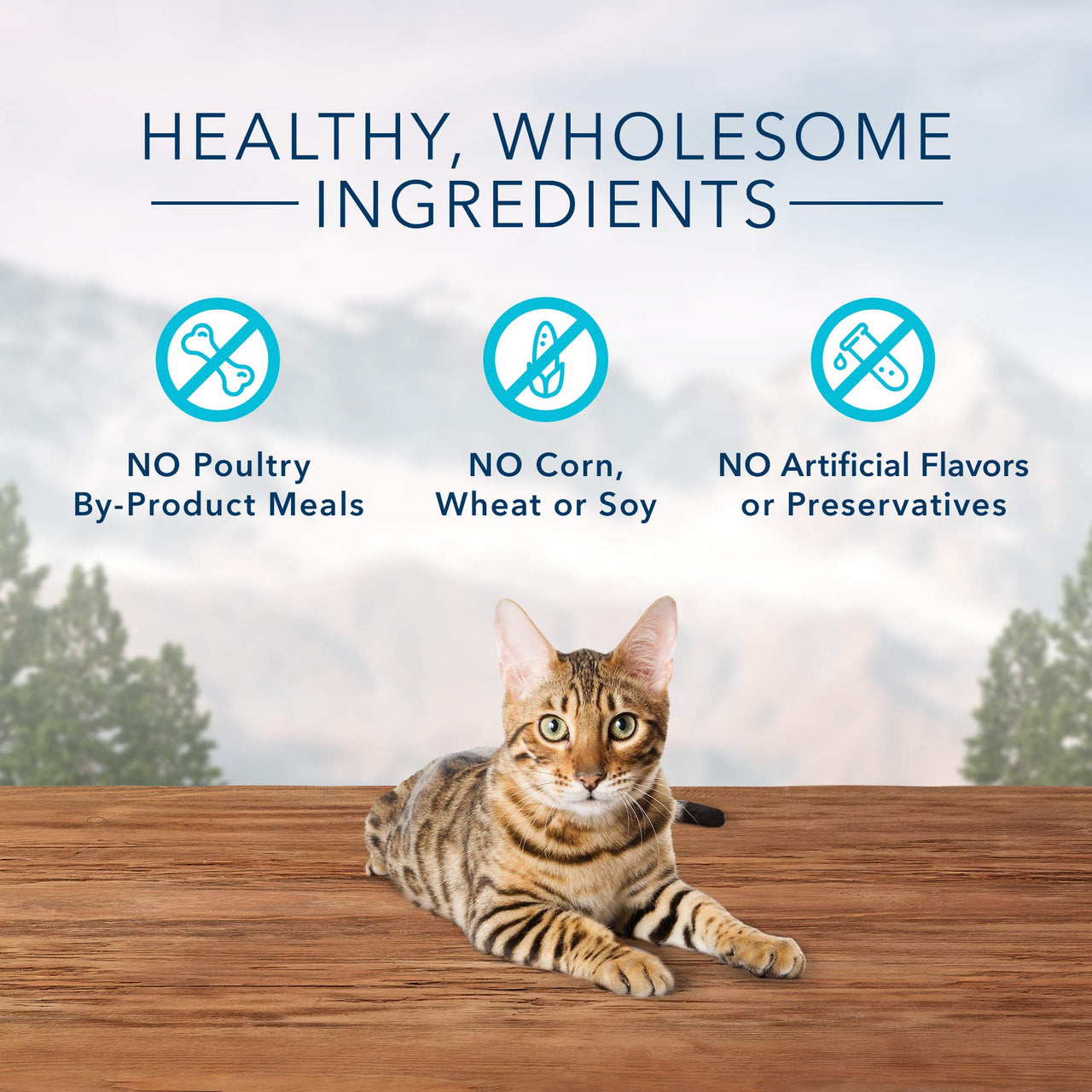 Blue Buffalo Wilderness Crunchy Cat Treats, Chicken 12-oz Tub 12 Ounce (Pack of 1)