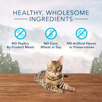 Blue Buffalo Wilderness Crunchy Cat Treats, Chicken 12-oz Tub 12 Ounce (Pack of 1)