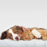 PETMAKER Dog Bed Replacement Cover ? Pet Duvet with Sherpa Top and Non-Slip Bottom, Gray Micro Suede -Dog Bed Washable Removable Cover (Small) 23.0