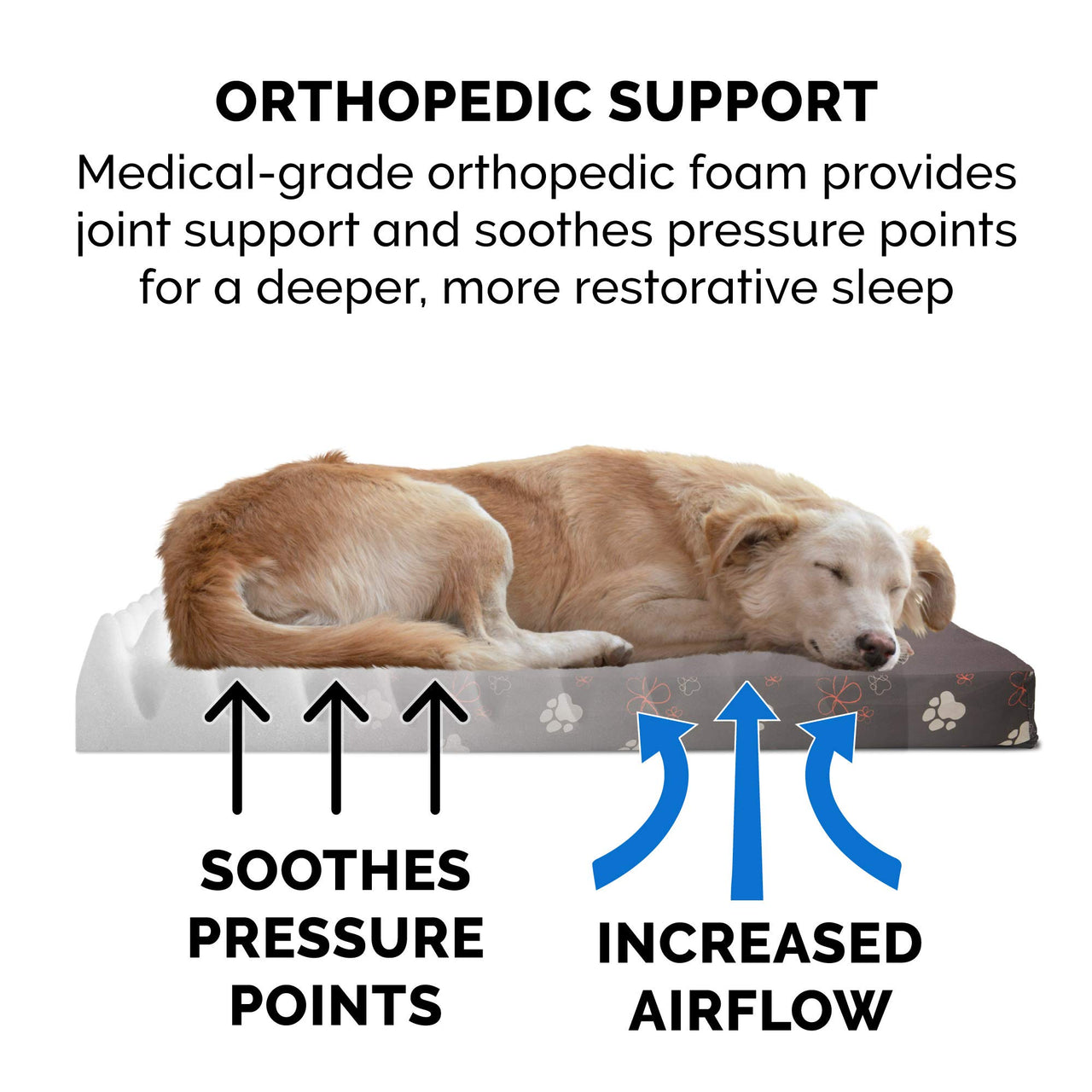 Furhaven Water-Resistant Orthopedic Dog Bed for Small Dogs w/ Removable Washable Cover, For Dogs Up to 20 lbs - Indoor/Outdoor Garden Print Mattress - Bark Brown, Small Water-Resistant Garden Print (Bark Brown) 20.0"L x 15.0"W x 3.0"Th Orthopedic Foam