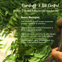 Nat Habit Anti Dandruff Hair Oil, Neem Bhringraj Summer Hair Oil For Women &Men, Suitable For All Hair Types, With Amla, brahmi, Shikakai, Castor & Methi,200ml