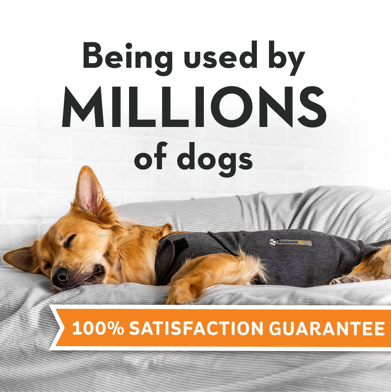 ThunderShirt for Dogs, XX Large, Heather Gray Classic - Dog Anxiety Vest Heather Grey XXL