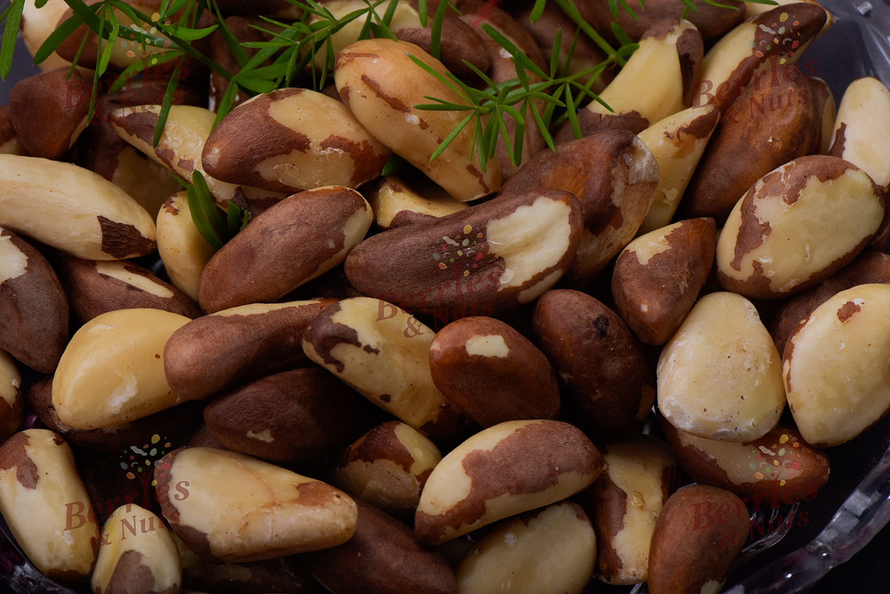 Berries And Nuts Premium Jumbo Brazil Nuts 200 Grams Pouch | Selenium Rich | 1 Pack of 200 Gram