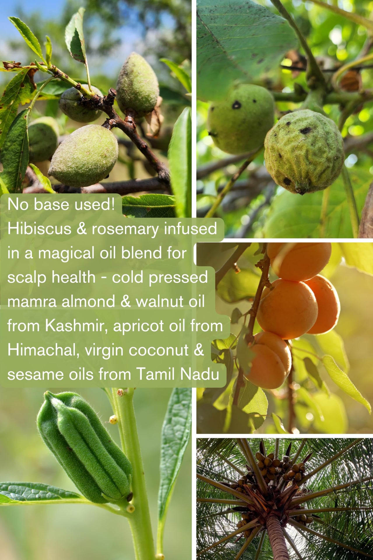 The Nature Mill Hibiscus Rosemary Hair Serum Oil. For stronger hair. 100ml (Almond Peppermint)