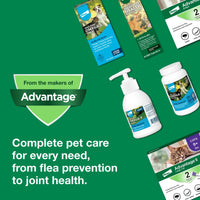 Advantage II Large Cat Vet-Recommended Flea Treatment & Prevention | Cats Over 9 lbs. | 2-Month Supply 2-Pack Large Cat only