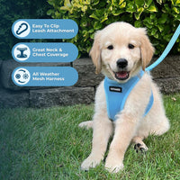 Voyager Step-in Air Dog Harness - All Weather Mesh Step in Vest Harness for Small and Medium Dogs and Cats by Best Pet Supplies - Harness (Baby Blue), XS (Chest: 13-14.5