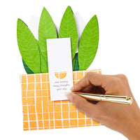 Hallmark Paper Wonder Pop Up Card (Potted Peace Lily) for Mother's  Day, Birthday, Administrative Professionals Day, Nurses Day, Thinking of You, Congrats, Get Well, or Any Occasion