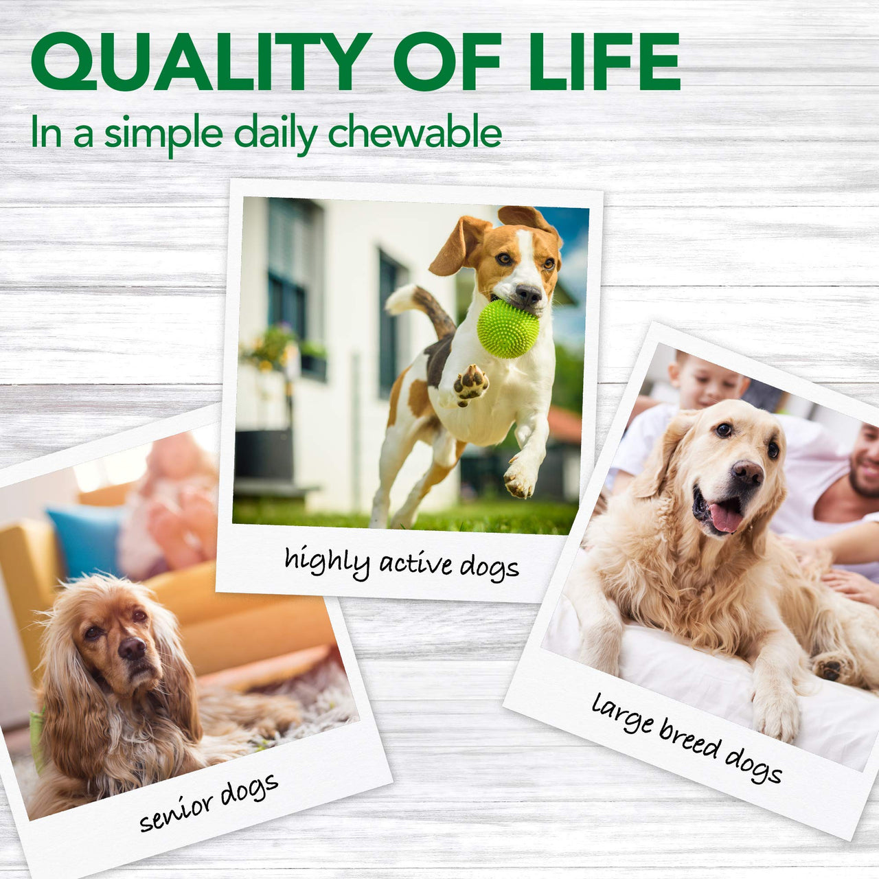 Vet's  Best Advanced Hip & Joint Dog Supplements, 90 Chewable Tablets 90 Tablets