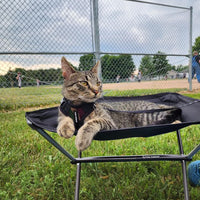 Voyager Step-in Lock Cat Harness w Reflective Cat Leash Combo Set with Neoprene Handle 5ft - Supports Small, Medium and Large Breed Cats by Best Pet Supplies - Army/Black Trim, XXS Harness Leash Set (Army/Black Trim) XXS (Chest: 11.5 - 14