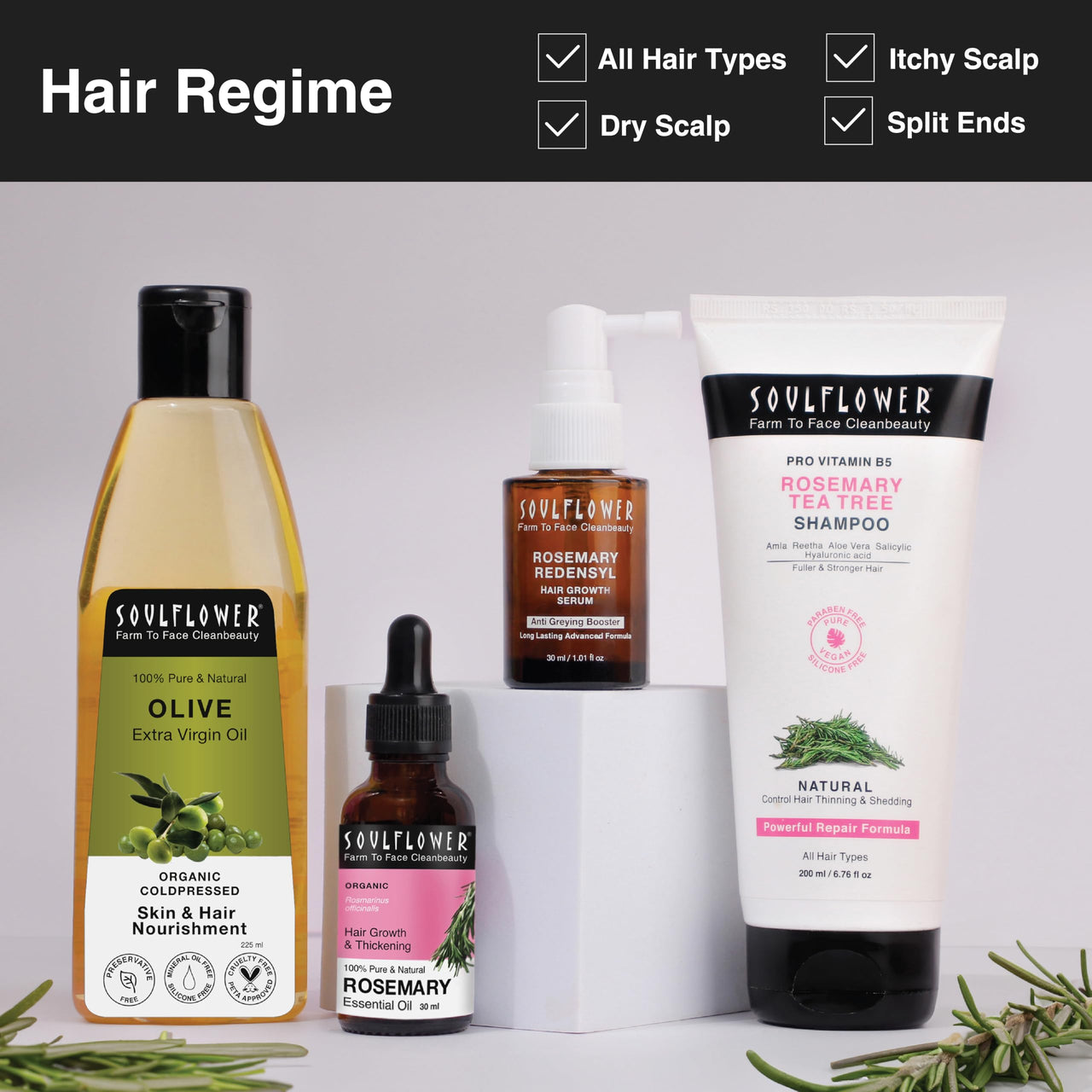 Soulflower Olive Hair & Skin Oil | 225ml | Cold-Pressed Oil for Hair Growth, Face Massage & Deep Moisturization | Reduces Wrinkles, Nourishes Scalp & Strengthens Roots | 100% Pure & Natural with Vitamin E