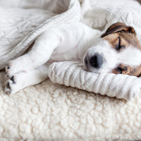 PETMAKER Dog Bed Replacement Cover ? Pet Duvet with Sherpa Top and Non-Slip Bottom, Gray Micro Suede -Dog Bed Washable Removable Cover (Small) 23.0