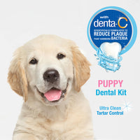 Nylabone Advanced Oral Care Puppy Dental Kit Puppy Original 3 Count 1 Count (Pack of 1)
