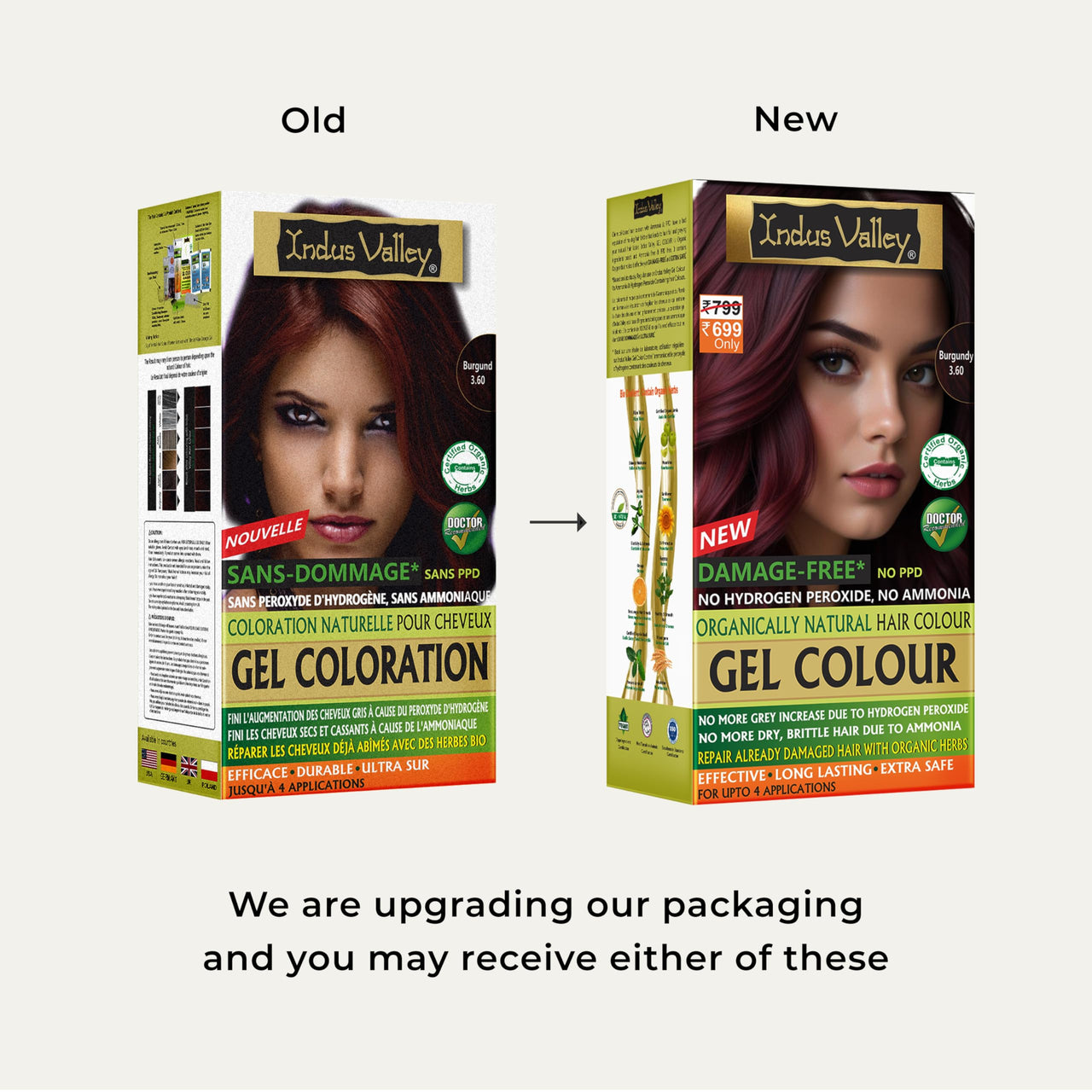 INDUS VALLEY Damage Free Natural Gel Hair Colour for Women | Ammonia & PPD Free Organic Hair Colour with 100% Grey Coverage, Long Lasting Conditioning Hair Color | Burgundy 3.6-220 ml