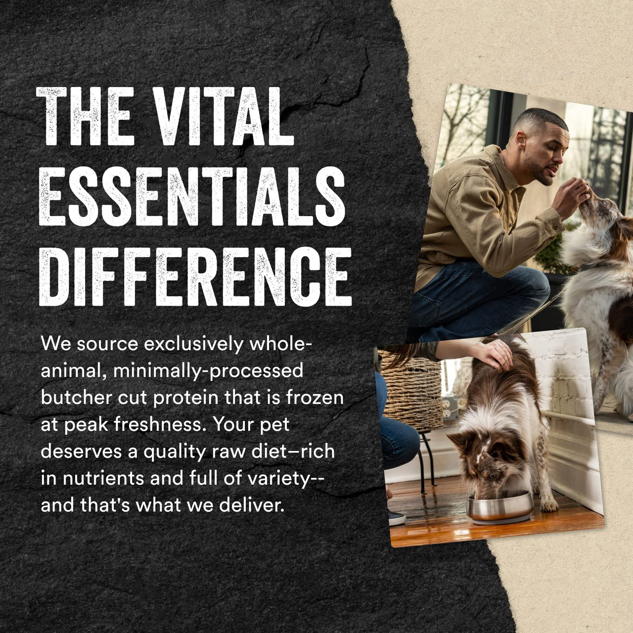 Vital Essentials Freeze Dried Raw Single Ingredient Dog Treats, Beef Liver, 15 oz 15 Ounce (Pack of 1)