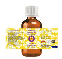 Deve Herbes Garlic Essential Oil (Allium sativum) Pure | Non-Sticky | Non-greasy | Lightweight | Men & Women | All Skin Types | Steam Distilled 15ml