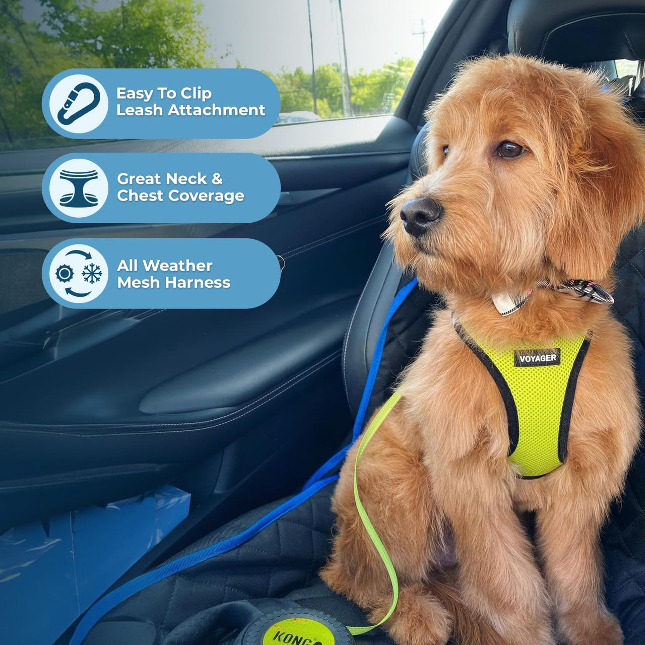 Voyager Step-in Air Dog Harness - All Weather Mesh Step in Vest Harness for Small and Medium Dogs and Cats by Best Pet Supplies - Harness (Lime Green/Black Trim), XL (Chest: 20.5-23") Harness (Lime Green/Black Trim) XL (Chest: 20.5 - 23")