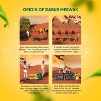 Dabur Meswak Complete Oral Care Toothpaste - 500g (2 x 200g + 1 x100g) | Complete Oral & Gum Care Toothpaste | Contains Pure & Rare Miswak extract | No added Fluoride, Paraben, Triclosan & Formalin
