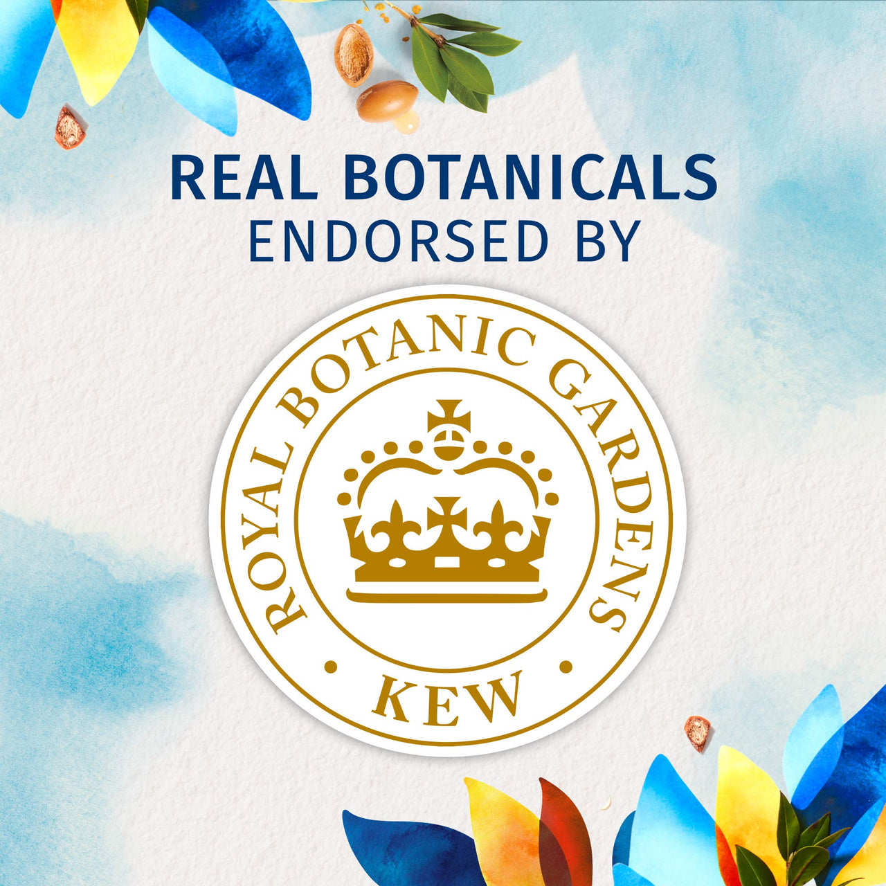 Herbal Essences Bio: Renew White Strawberry And Sweet Mint Shampoo, 400 Ml With Herbal Essences Bio Renew Argan Oil Of Morocco Conditioner, 400 Ml