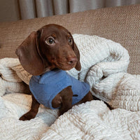 Gooby Fleece Vest Dog Sweater - Blue, X-Small - Warm Pullover Fleece Dog Jacket with O-Ring Leash - Winter Small Dog Sweater Coat - Cold Weather Dog Clothes for Small Dogs Boy or Girl X-Small (Around 4-lb)