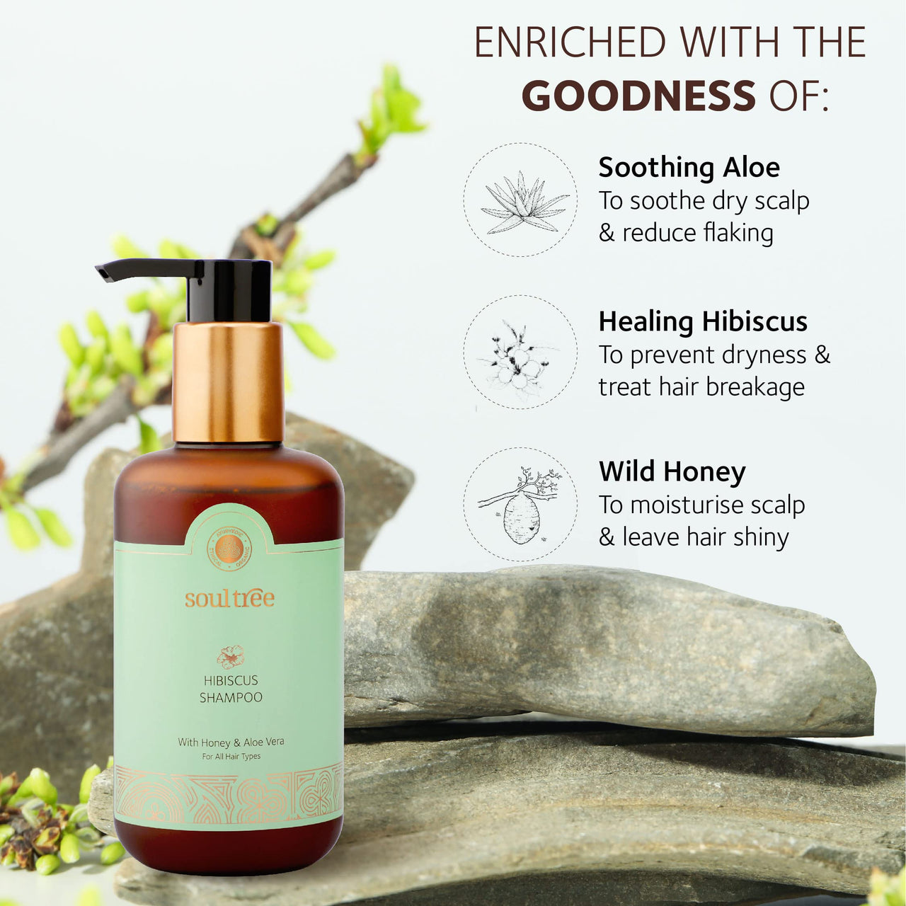 SoulTree Hibiscus Shampoo with Honey & Aloe Vera - Prevents Dryness & Hair Breakage, Cleanses & Hydrates at the same time, SLS/SLES Free - All Hair Types, 250 ml