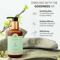 SoulTree Hibiscus Shampoo with Honey & Aloe Vera - Prevents Dryness & Hair Breakage, Cleanses & Hydrates at the same time, SLS/SLES Free - All Hair Types, 250 ml