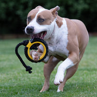 Tonka Mega Tread Rope Tug Dog Toy, Lightweight, Durable and Water Resistant, 15 Inches, for Medium/Large Breeds, Single Unit, Yellow/Black 15 in Mega Tread