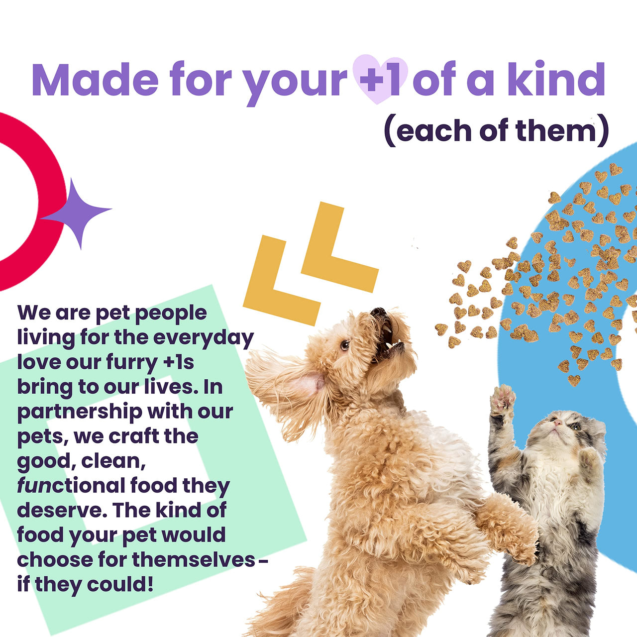 "I and love and you" Ear Candy Cow Ear Strips - Grain Free Dog Chews, 100% Beef Cow Ears, 2.5-Ounce