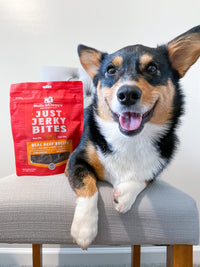 Stella & Chewy's  Just Jerky Bites Real Salmon Recipe Dog Treats, 6 oz. Bag 6 Ounce (Pack of 1)