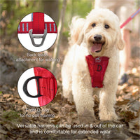 Kurgo Dog Harness | Car Harness for Dogs | Medium | Black | Pet Safety Seat Belt | Certified Crash Tested Harness | Car Seatbelt | Tru-Fit Enhanced Strength Style