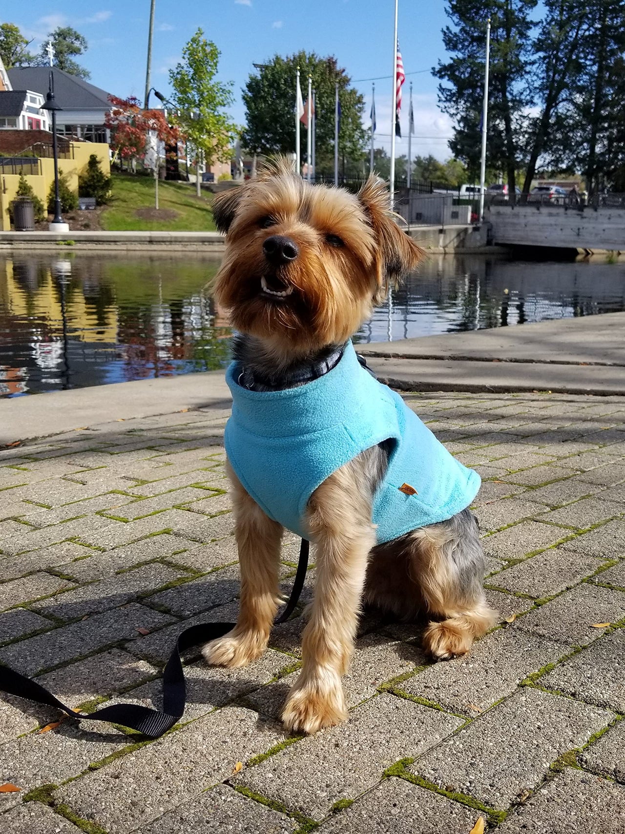 Gooby Zip Up Fleece Dog Sweater - Turquoise, Small - Warm Pullover Fleece Step-in Dog Jacket with Dual D Ring Leash - Winter Small Dog Sweater - Dog Clothes for Small Dogs Boy and Medium Dogs Small chest (~13.5")