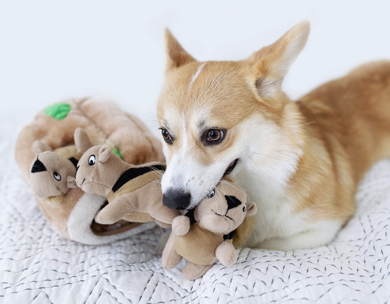 Outward Hound Hide A Squirrel Plush Dog Toy Puzzle, Large