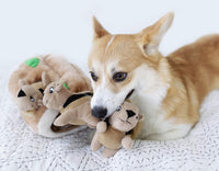 Outward Hound Hide A Squirrel Plush Dog Toy Puzzle, Large