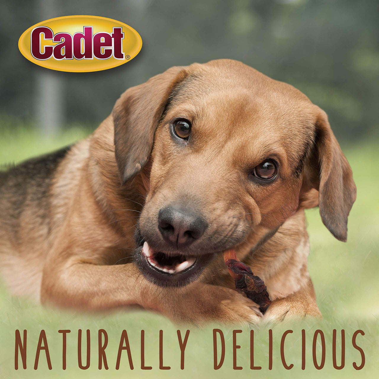 Cadet Gourmet Sweet Potato & Duck Wraps Dog Treats - Healthy & Natural Duck & Sweet Potato Dog Training Treats for Small & Large Dogs - Inspected & Tested in USA (28 oz.) 1.75 Pound (Pack of 1)