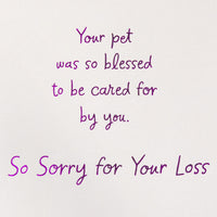 American Greetings Pet Sympathy Card (So Blessed) So Blessed