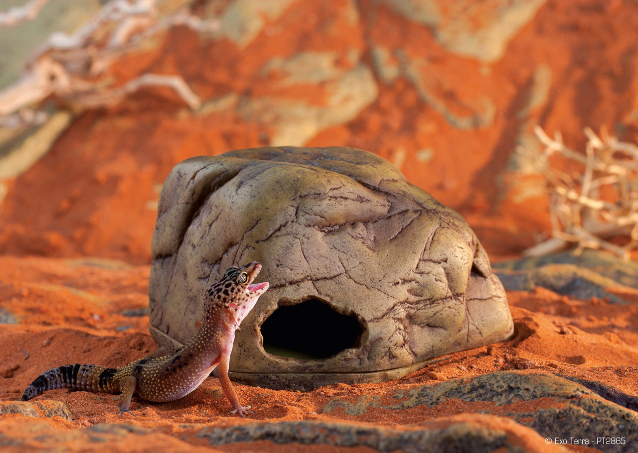 Exo Terra Gecko Cave for Reptiles and Amphibians, Reptile Hideout, Small, PT2864