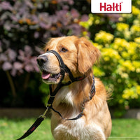 HALTI Headcollar - To Stop Your Dog Pulling on the Leash. Adjustable, Reflective and Lightweight, with Padded Nose Band. Dog Training Anti-Pull Collar for Medium Dogs (Size 2, Black)