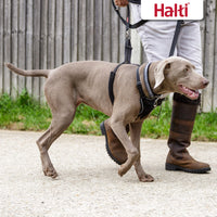 HALTI No Pull Harness - to Stop Your Dog Pulling on The Leash. Adjustable, Lightweight and Easy to Use. Reflective Dog Training Harness for Large Dogs (Size L)
