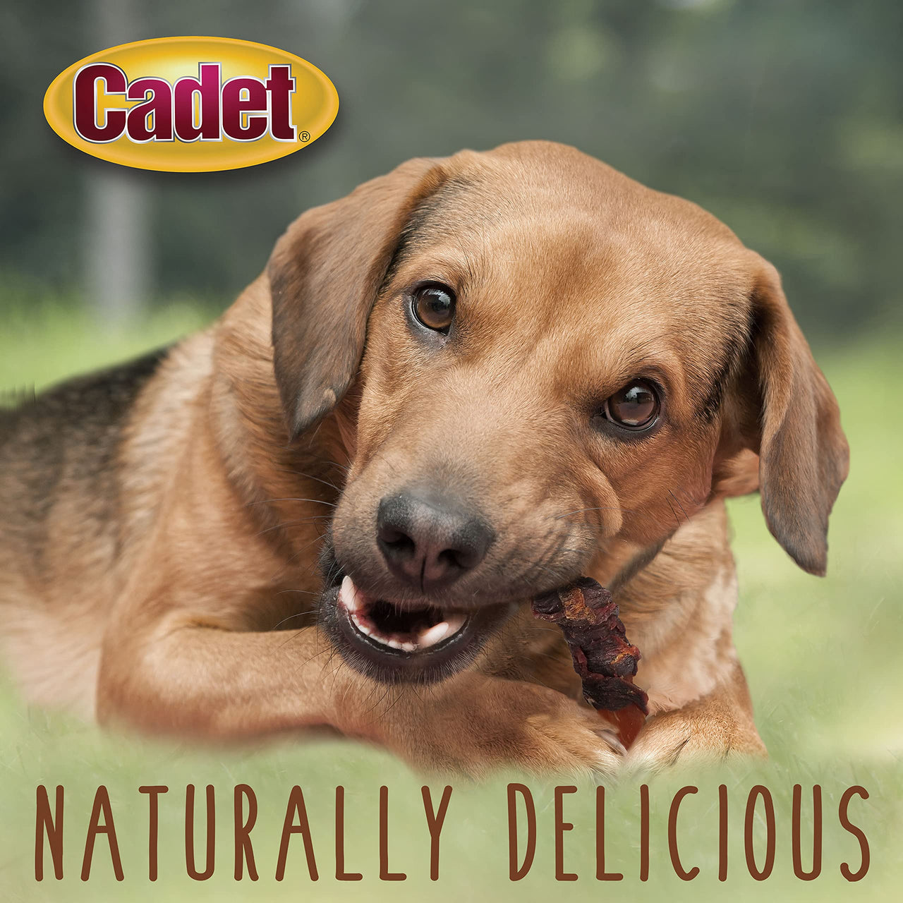 Cadet Gourmet Sweet Potato & Duck Wraps Dog Treats - Healthy & Natural Duck & Sweet Potato Dog Training Treats for Small & Large Dogs - Inspected & Tested in USA (14 oz). 14 Ounce (Pack of 1)