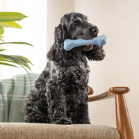 Harry Barker Rubber Balls and Rubber Chew Stick, Rubber Bone for Dogs - Medium Bone