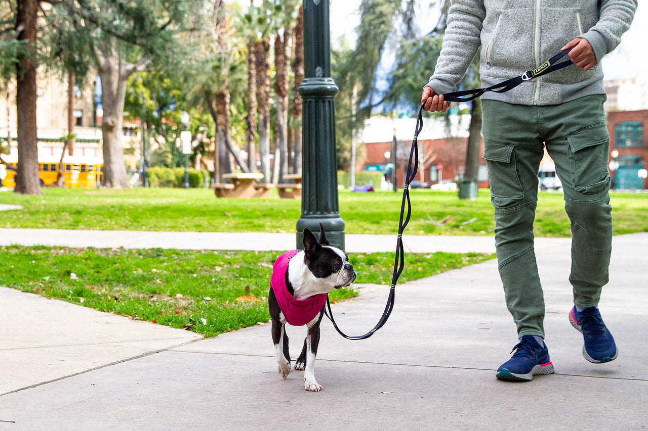 Gooby Puffer Vest Dog Jacket - Purple, Medium - Ultra Thin Zip Up Wind Breaker with Dual D Ring Leash - Water Resistant Small Dog Sweater Coat - Dog Clothes for Small Dogs Boy or Medium Dogs Medium chest (18")