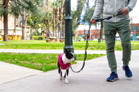 Gooby Puffer Vest Dog Jacket - Purple, Medium - Ultra Thin Zip Up Wind Breaker with Dual D Ring Leash - Water Resistant Small Dog Sweater Coat - Dog Clothes for Small Dogs Boy or Medium Dogs Medium chest (18